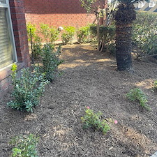 Fresh Mulch and Landscape Update in Waxahachie, TX 1